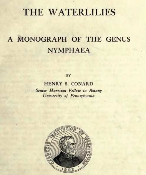 A MONOGRAPH OF THE GENUS NYMPHAEA