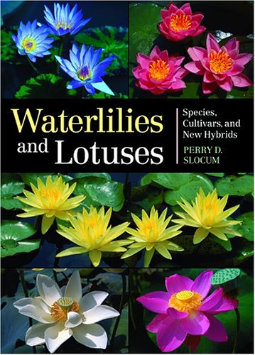 Water Lilies and Lotuses von Perry D. Slocum