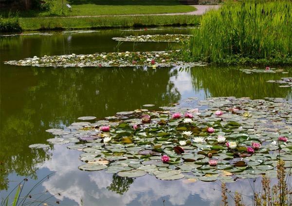 Höhenpark Killesberg in 70192 Stuttgart