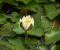 Walter_Pagels-03.jpg